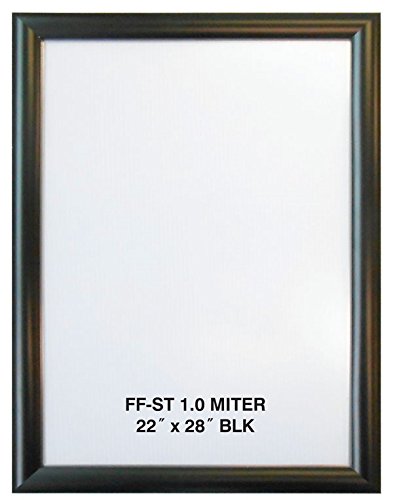 Snap Premium Anodized Aluminum Poster Frame - 1.25 Profile