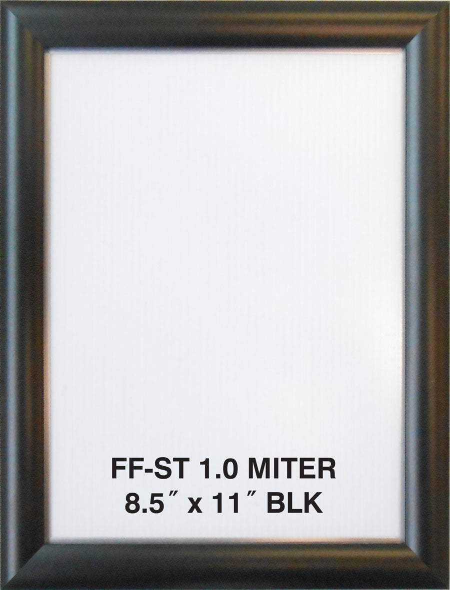 Snap Premium Anodized Aluminum Poster Frame - 1.25 Profile