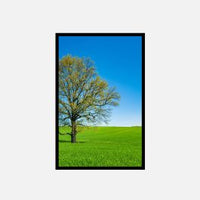 FAUX LED Window Frame - Select Graphic Print Size: