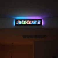 2-Pack Mylar 5x25 Glowbox LED Light Box Poster Frames