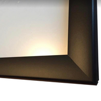 Snap Non LED Anodized Aluminum Poster Frame